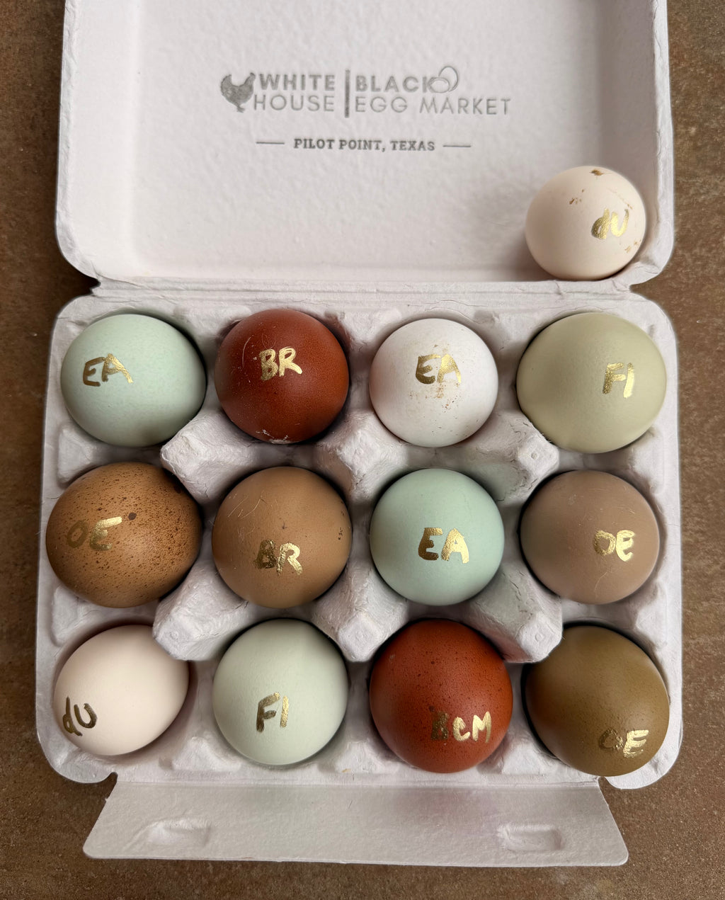 PREMIUM Rainbow Hatching Eggs