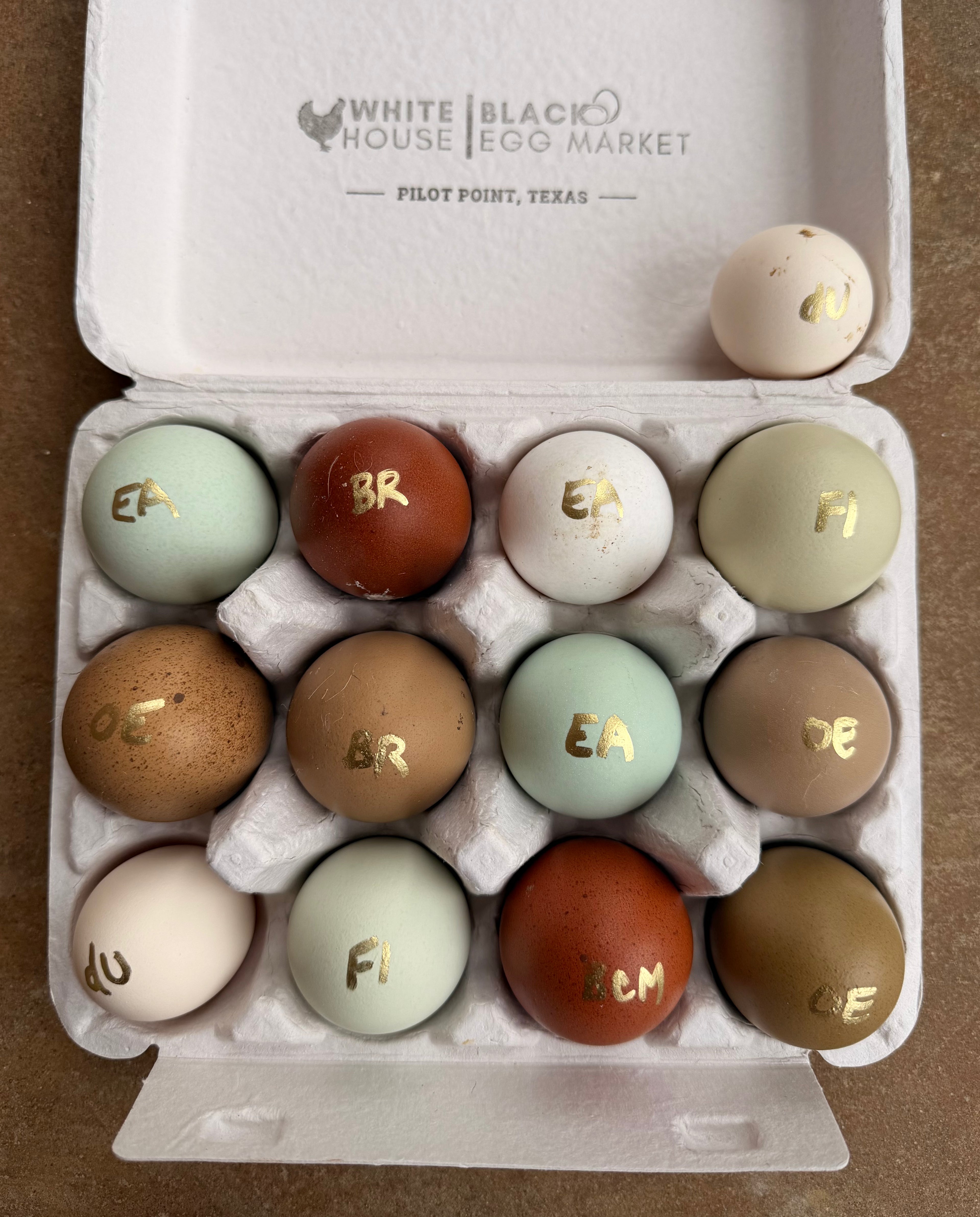 PREMIUM Rainbow Hatching Eggs