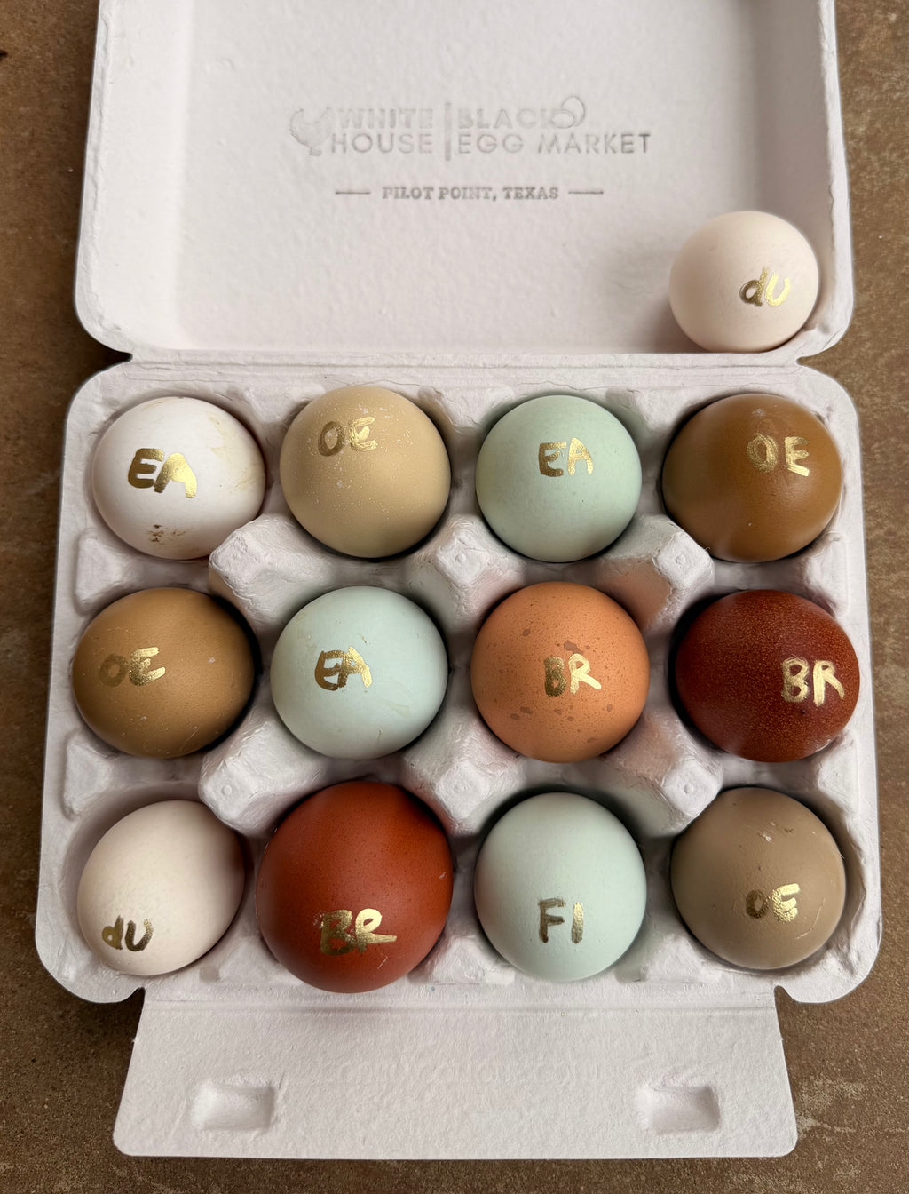 PREMIUM Rainbow Hatching Eggs
