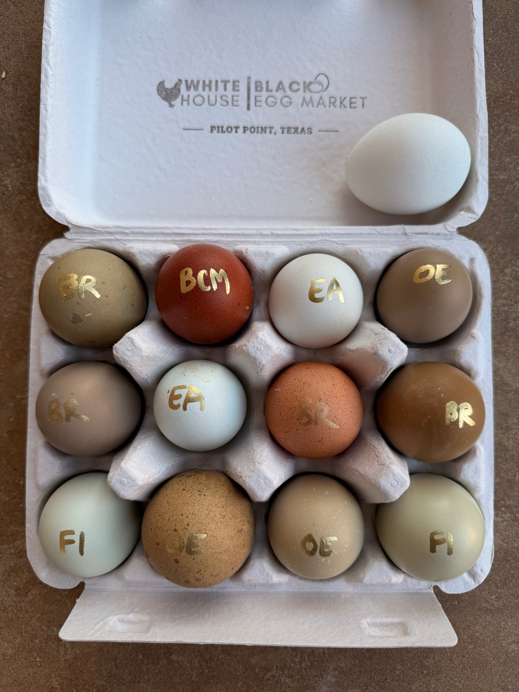 PREMIUM Rainbow Hatching Eggs