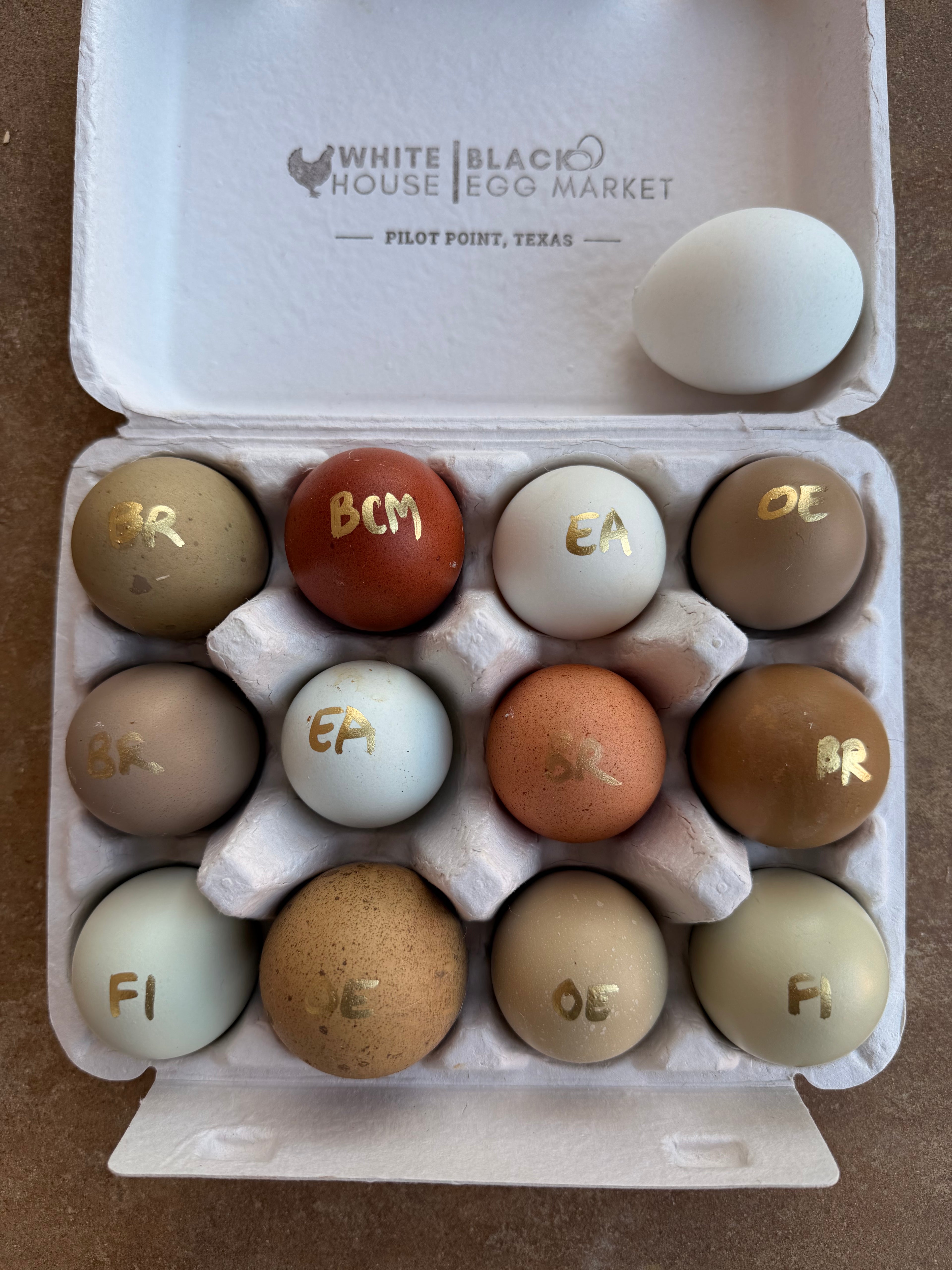 PREMIUM Rainbow Hatching Eggs