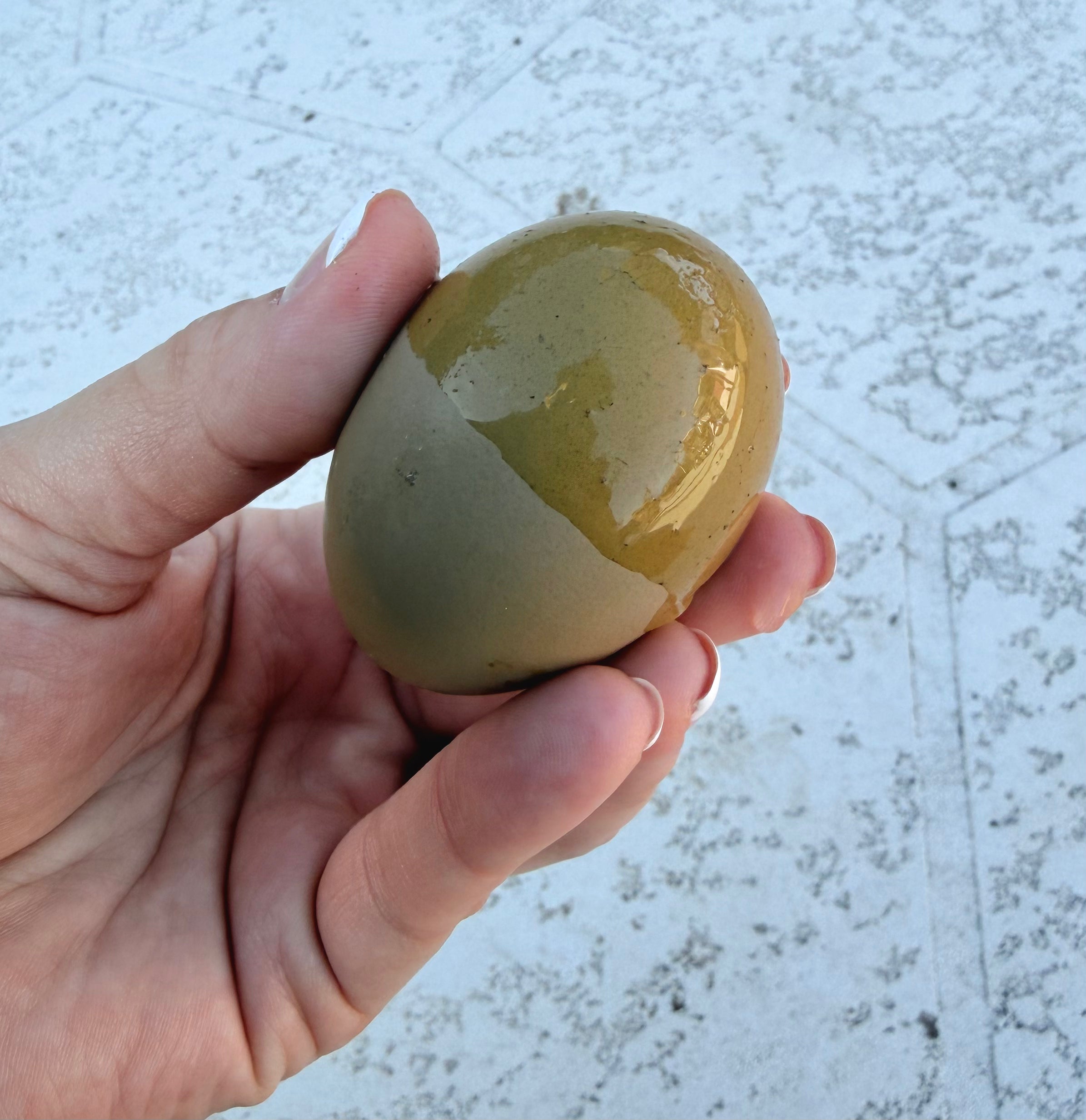 Bloomstone Reserve Hatching Eggs