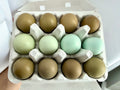 Olive Eggers Hatching Eggs