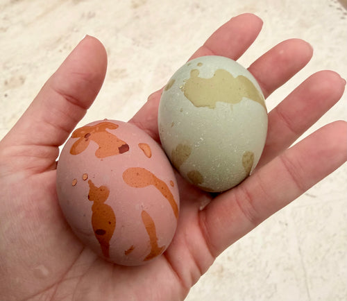 Bloomstone Reserve Hatching Eggs