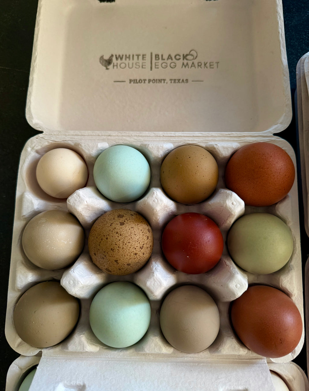 PREMIUM Rainbow Hatching Eggs