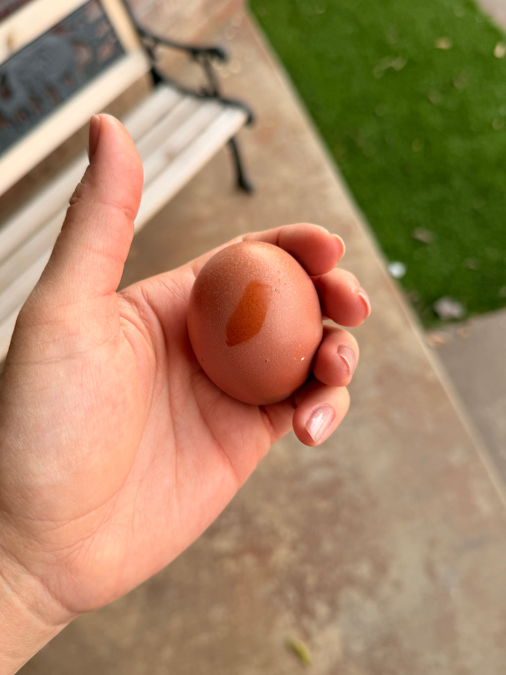 Bloomstone Reserve Hatching Eggs